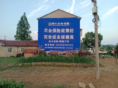 田东墙体广告为何受追捧？